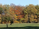 DSCF2842.JPG