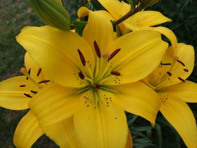 DSCF0832.JPG