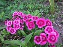 DSCF0828.JPG