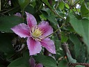 DSCF0830.JPG