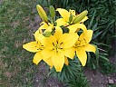 DSCF0831.JPG
