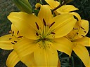 DSCF0832.JPG