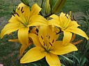 DSCF0833.JPG