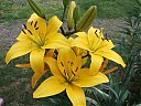 DSCF0834.JPG