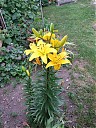 DSCF0836.JPG