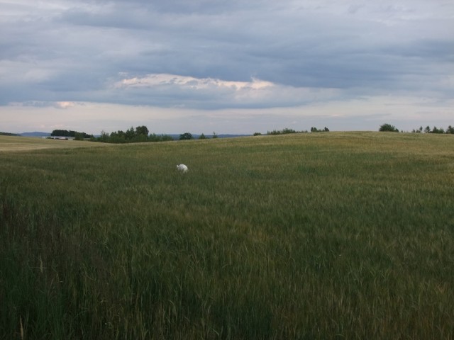 DSCF0860.JPG