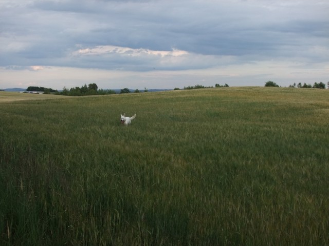 DSCF0861.JPG