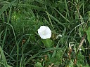 DSCF0848.JPG
