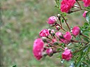 DSCF0852.JPG