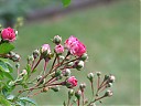 DSCF0854.JPG