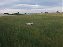 DSCF0862.JPG
