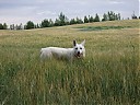 DSCF0867.JPG