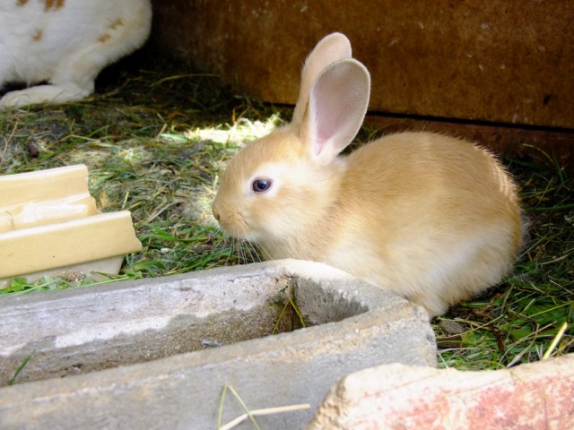 DSCF0891.JPG