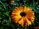 DSCF0879.JPG