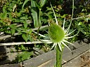 DSCF0882.JPG