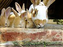 DSCF0884.JPG