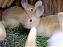 DSCF0888.JPG
