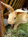 DSCF0906.JPG