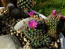 DSCF0921.JPG