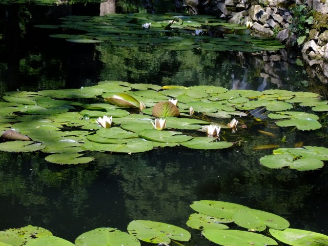 DSCF1013.JPG