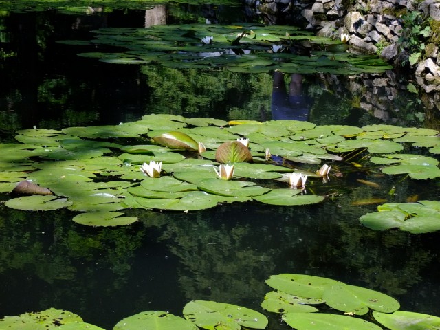 DSCF1014.JPG