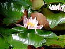 DSCF1011.JPG