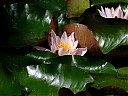 DSCF1012.JPG