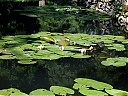 DSCF1013.JPG