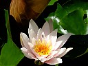 DSCF1015.JPG