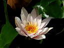 DSCF1016.JPG