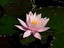 DSCF1028.JPG
