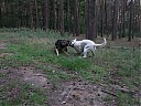 DSCF1125.JPG