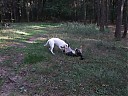 DSCF1131.JPG