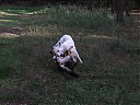 DSCF1133.JPG