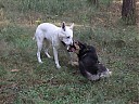 DSCF1135.JPG