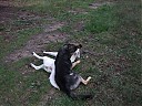 DSCF1136.JPG