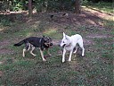 DSCF1137.JPG