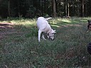 DSCF1139.JPG