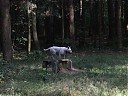 DSCF1140.JPG