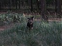 DSCF1143.JPG