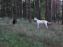 DSCF1145.JPG