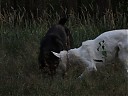 DSCF1146.JPG
