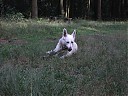 DSCF1148.JPG