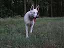 DSCF1150.JPG