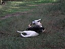 DSCF1153.JPG