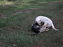 DSCF1156.JPG