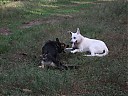 DSCF1157.JPG