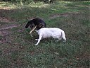 DSCF1159.JPG