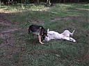 DSCF1160.JPG