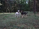 DSCF1161.JPG